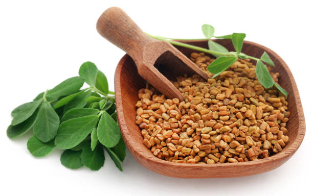 Grow your hair like never before with Fenugreek
